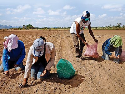 El campo en el Proyecto de Presupuesto 2023: Programas cuestionados, productores desprotegidos