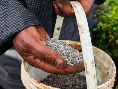 Guerra en Medio Oriente provoca escasez mundial de fertilizantes y amenaza precios de alimentos