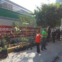 Arman campaña de reforestación a 2 años del "ecocidio" por la construcción deTorre Mitikah