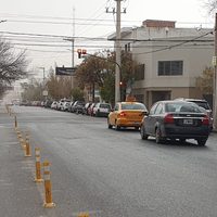 El viento hizo estragos en la ciudad de Neuquén: visibilidad nula y árboles caídos