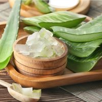 Usos y virtudes del Aloe Vera, una de las suculentas más recomendadas para tener en casa