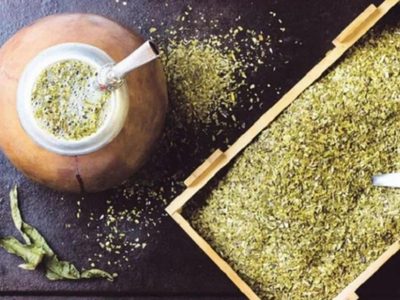 Yerba mate: beneficios de la infusión que ayuda al sistema inmunológico