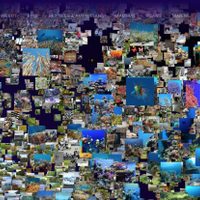 Google Arts & Culture conciencia sobre el clima con nuevos contenidos interactivos