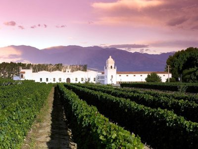 Torrontés de los valles Calchaquíes: con aromas y sabores que da la altura