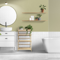 5 plantas hermosas y de moda que son perfectas para colocar en el baño
