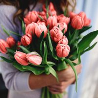Conservá eternamente el color y vida de tus flores frescas con esta sencilla técnica para usarlas en todos tus proyectos