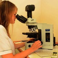 El gobierno anunció que el Sistema Público de Salud incorporará cerca de 60 nuevos especialistas