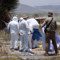 Colectivo encuentra fosa con restos humanos en rancho de Palmar de Bravo, Puebla