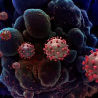 Detectan en Francia nueva variante del coronavirus con más mutaciones que Ómicron