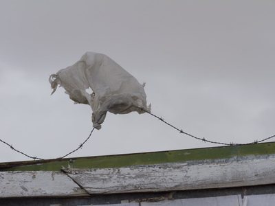 Clima en Neuquén: frío, lluvia y nevadas en la cordillera y más viento para el resto de la provincia