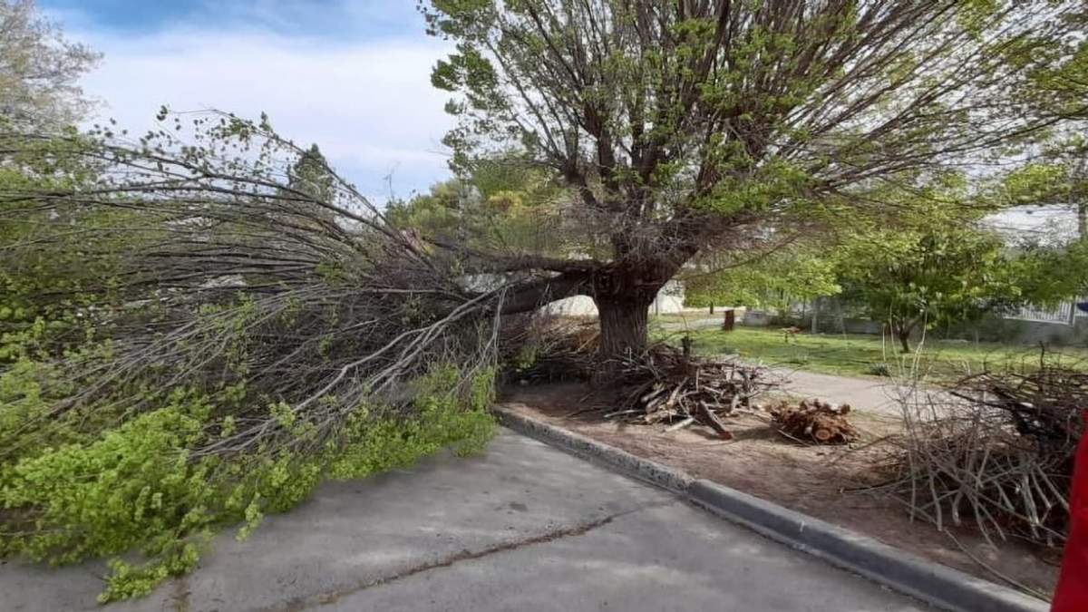 Fuerte temporal en Neuquén capital. Fuente: (Twitter)