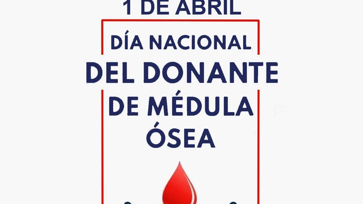 Médula ósea. Fuente: (Instagram)