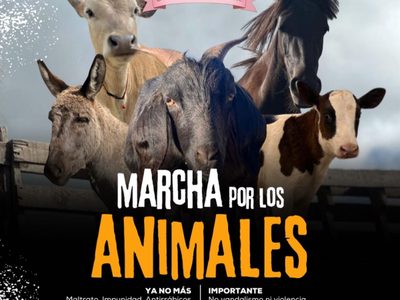 Defensores de los derechos de los animales marcharán este sábado en la CDMX