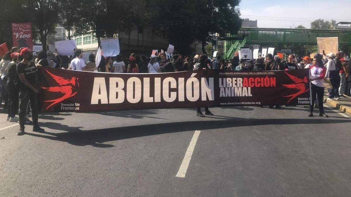 Manifestación frente a la Plaza México