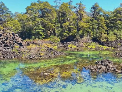 Laguna Verde, la joya escondida de Neuquén: cómo llegar y por qué visitarla en verano