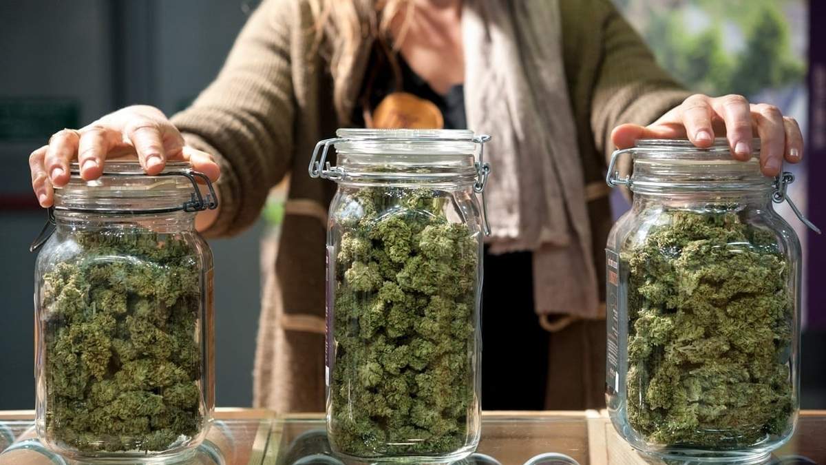 La izquierda presentó un proyecto para legalizar el uso de la marihuana