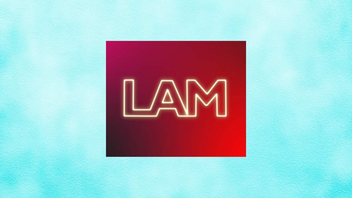 LAM. Fuente: (Minuto Neuquén)