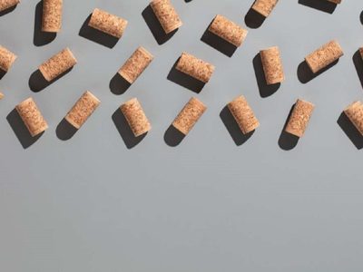 No tires los corchos de vino: mirá esta hermosa y creativa idea con plantas que tus chicos amarán hacer en casa