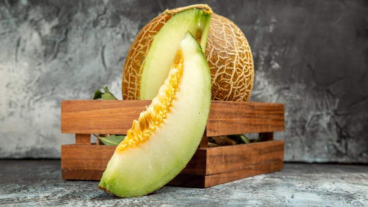 Melón. Fuente: (X)