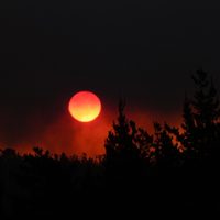 Suben a 64 víctimas de incendios en Chile
