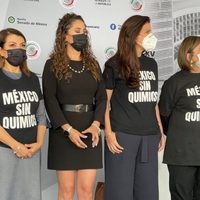 Panistas reclaman en el Senado por desabasto de medicamentos contra el cáncer