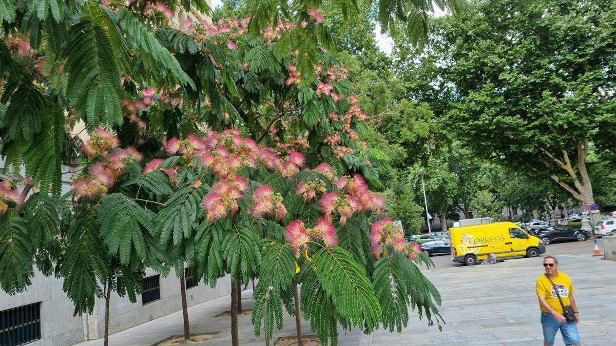 Plantas. Fuente: (Instagram)