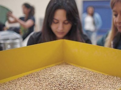 Mujeres cerveceras de Latinoamérica unidas en un congreso mundial virtual