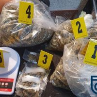 Catean dos viviendas en Tepito; seis adultos y dos menores son detenidos con droga