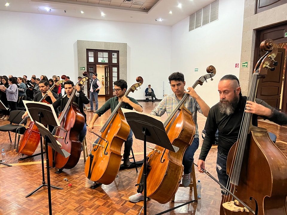 OFA-ensayo