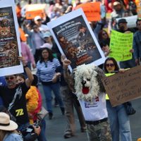 “Fue despojo, no rescate”: Marchan en defensa del Refugio Franciscano en CDMX (Video)