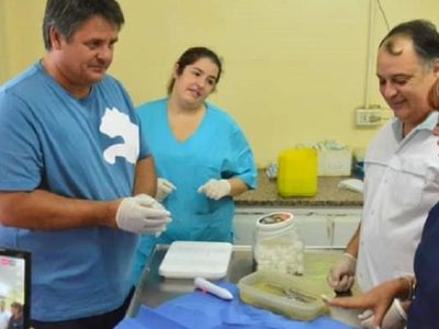 Continúa la polémica por la participación de Gaido en la cirugía de un gato