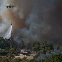 Choque mortal: un avión de bomberos de Rusia se estrelló al sur de Turquía