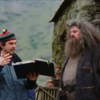 Cómo será el personaje de Hagrid en la serie de Harry Potter