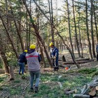 El Bosque Comunal de Zapala se prepara para recibir la temporada primavera verano