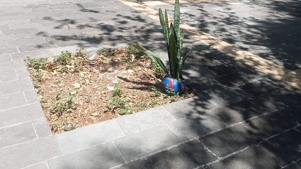 Balones-maceta