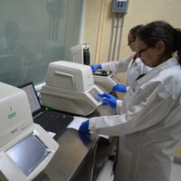 Detectan nuevos casos de la variante británica de coronavirus en Tamaulipas