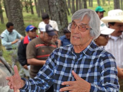 Aseguran que Castaños Martínez renunció a la dirección general de la Conafor