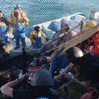 Pescadores exigen a AMLO el retiro de Sea Shephard tras muerte de pescador