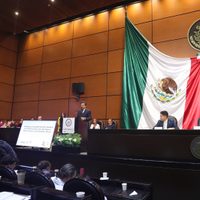 Zoé Robledo asegura a diputados que el IMSS tiene finanzas sanas