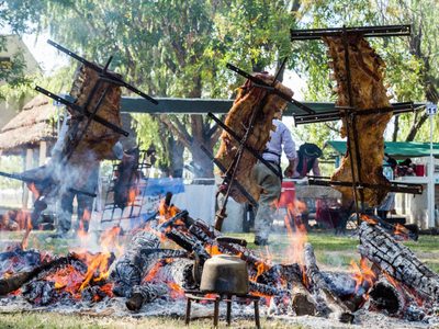 Fiesta Regional del Asado: conocé el cronograma del emblemático evento de Aluminé