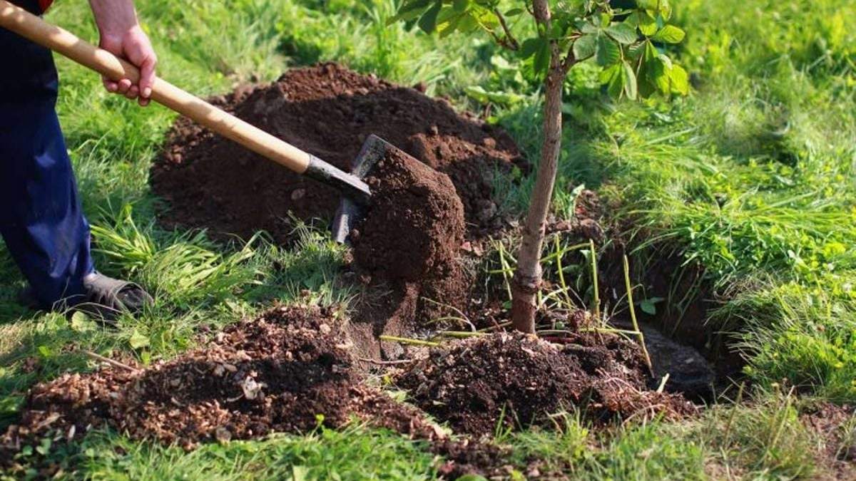 Promueven entre estudiantes medida para cuidar el medioambiente. Fuente: (Instagram)