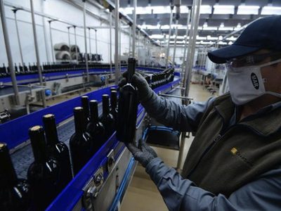 Trabajo aprobó la conciliación obligatoria y no habrá paro de trabajadores de bodega y viñedo