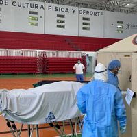 Investigadores identifican el mecanismo que provoca la mortalidad del covid-19
