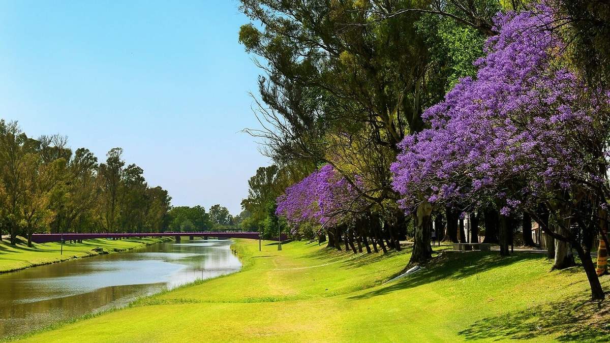 Buenos Aires. Fuente: (X)