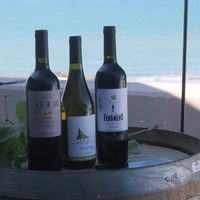 Programa de Cava Submarina en el Golfo San Matías: las bodegas rionegrinas criarán sus vinos en el mar
