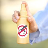 Con estas plantas que tenés en tu jardín, creá el repelente casero de mosquitos más eficiente y económico