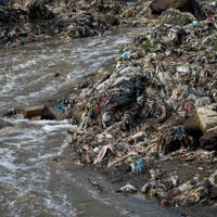 Unas 15 personas han muerto y más de 500 mil resultaron afectadas por las lluvias en Guatemala