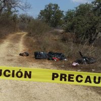 Hallan 11 bolsas con restos humanos, un hombre ejecutado y otro desmembrado en Guerrero