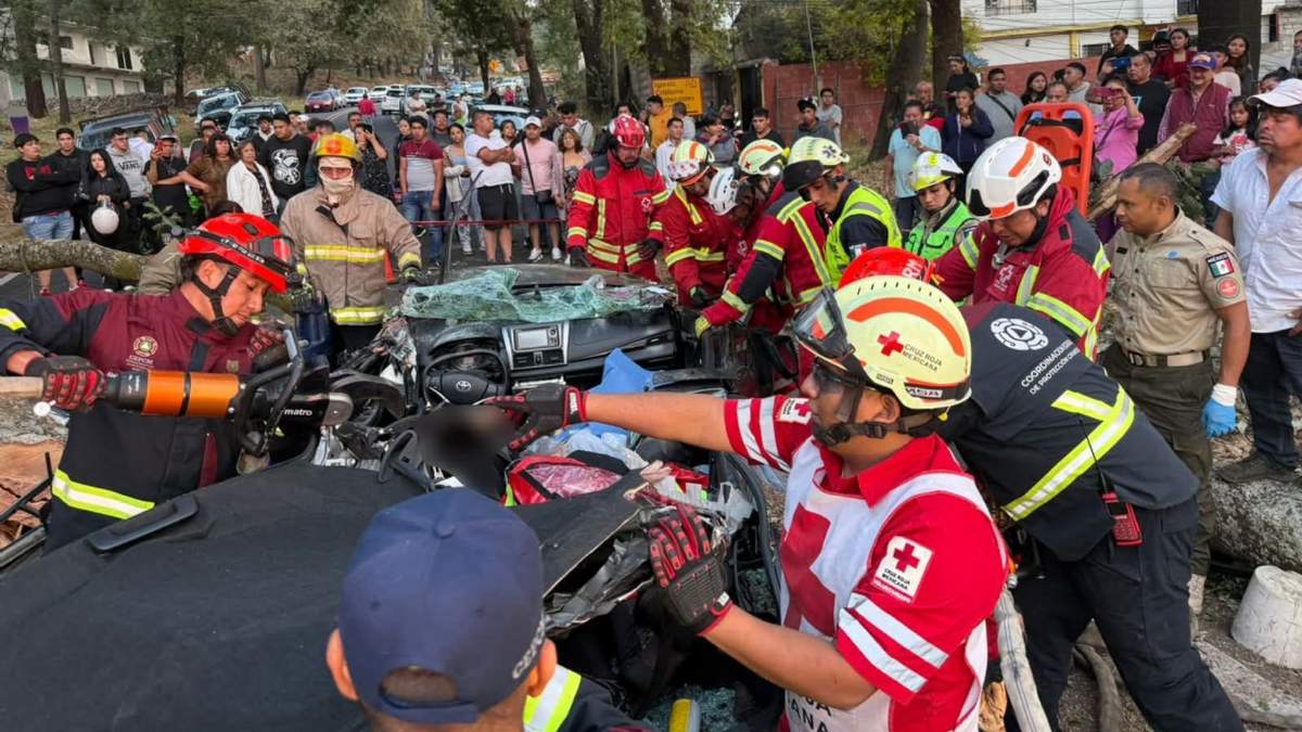 Rescatistas laboran para retirar el árbol caído sobre un vehículo