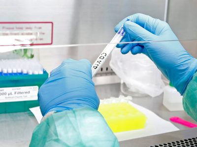 Preocupante: se registró la circulación de nuevas cepas de coronavirus en Río Negro